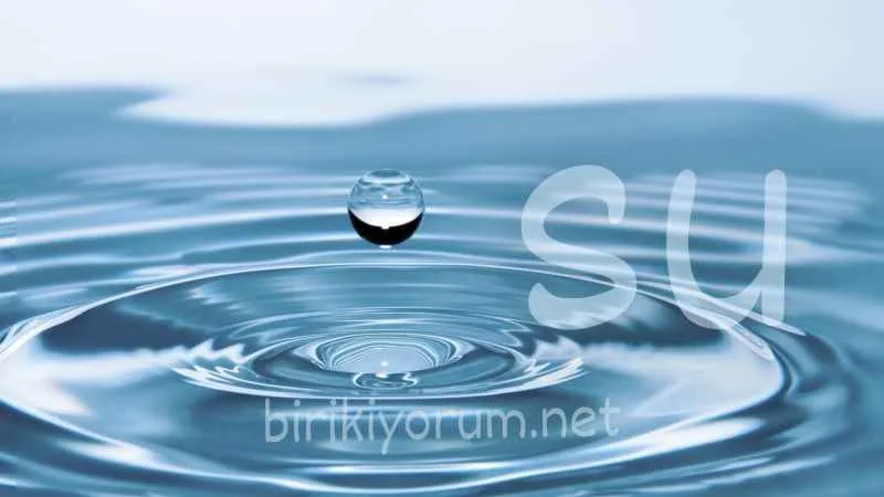 Su = H2O = Yaşam İksiri. Bugün Su Günü…