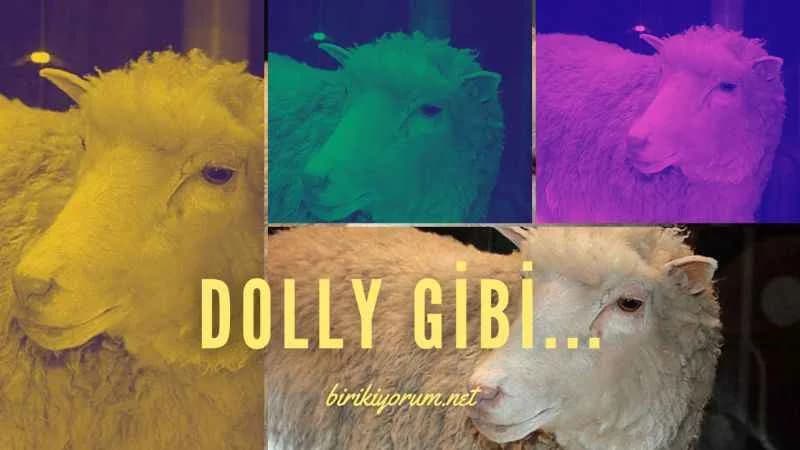 Dolly gibi Kopyalanmak İster miydiniz?