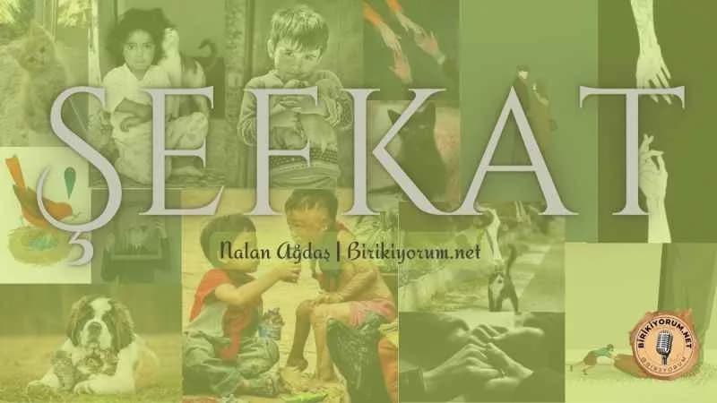Şefkat, lazım olanı yazmak adına…