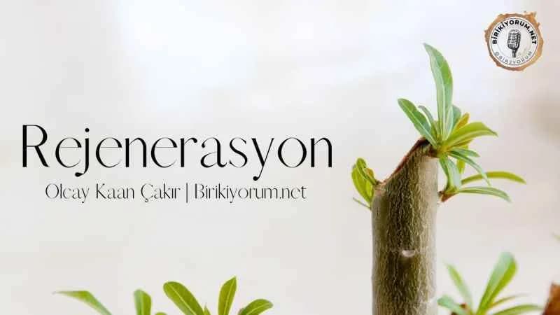 Rejenerasyon