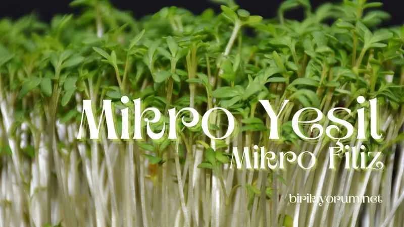 Mikro Yeşil – Mikro Filiz – Saksı Tarımından Gelen Makro Sağlık
