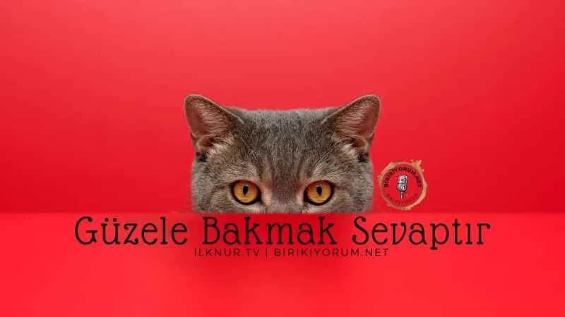 Güzele Bakmak Sevaptır
