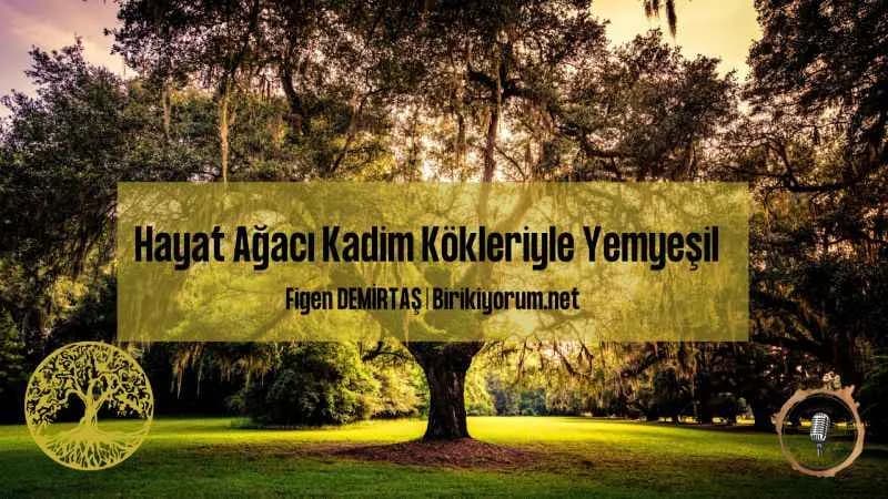 Hayat Ağacı Kadim Kökleriyle Yemyeşil
