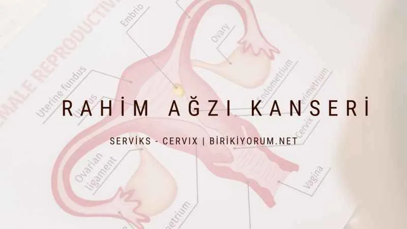 Rahim Ağzı Kanseri