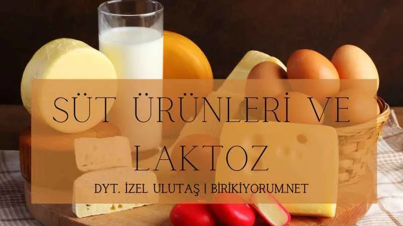 Süt Ürünleri ve Laktoz