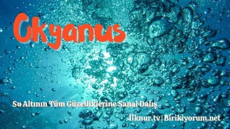 Okyanus. Su altının tüm güzelliklerini Gezi’yorum