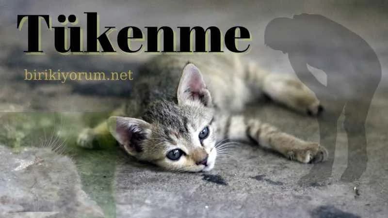 Tükenme