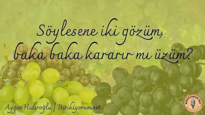 Söylesene iki gözüm, baka baka kararır mı üzüm?