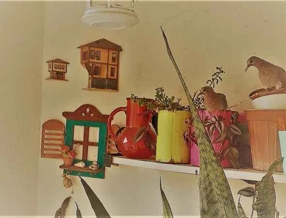 Kumrular Gibi