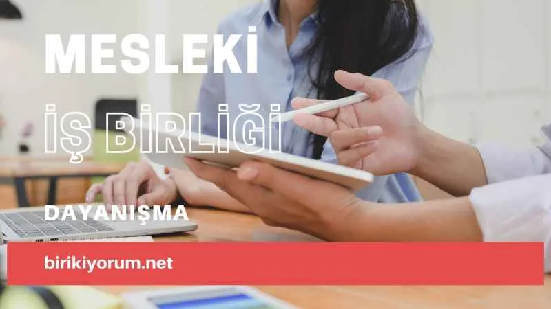 Mesleki Dayanışma