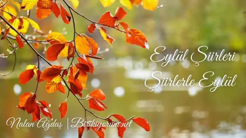 Eylül Şiirleri, Şiirlerle Eylül