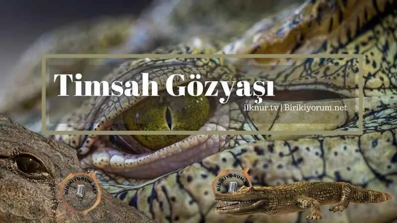 Timsah Gözyaşı ve Dökenlere Dikkat