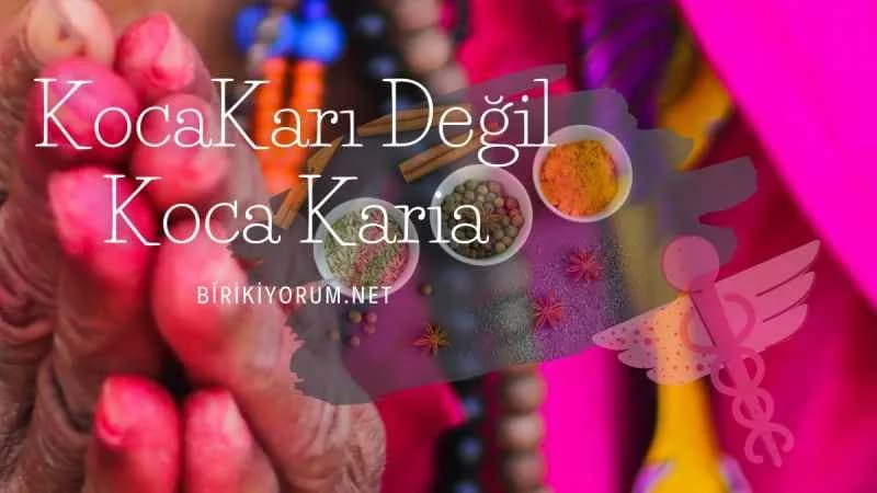 Kocakarı Değil Koca Karia