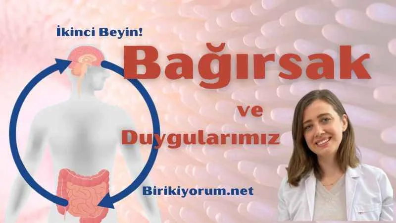 Bağırsak ve Duygularımız : İkinci Beyin