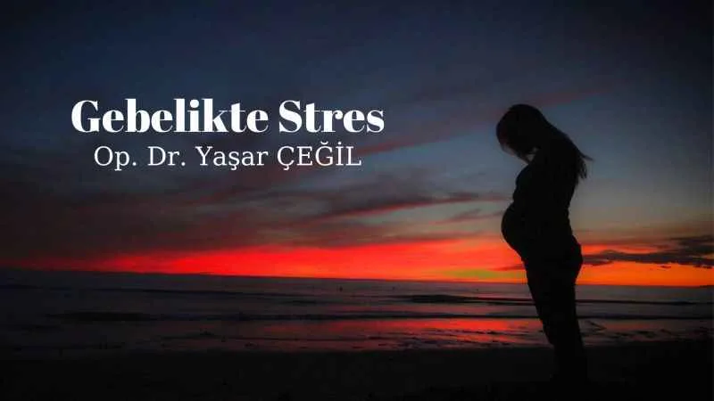 Gebelikte Stres