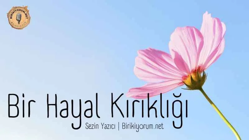 Bir hayal kırıklığı
