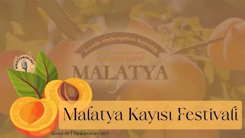 Malatya Kayısı Festivali