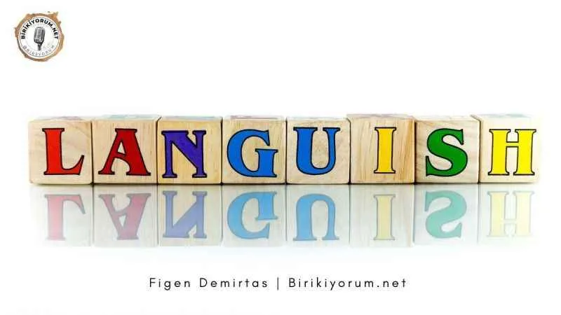 Languishing Hissettiğin Tatsızlığın Adı